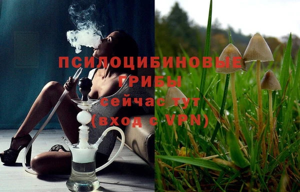jwh Алзамай