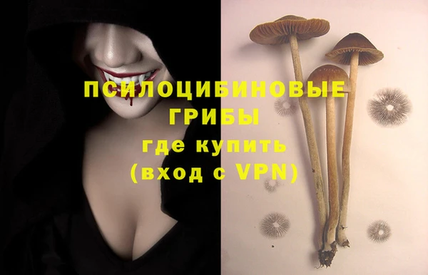 кокс Протвино
