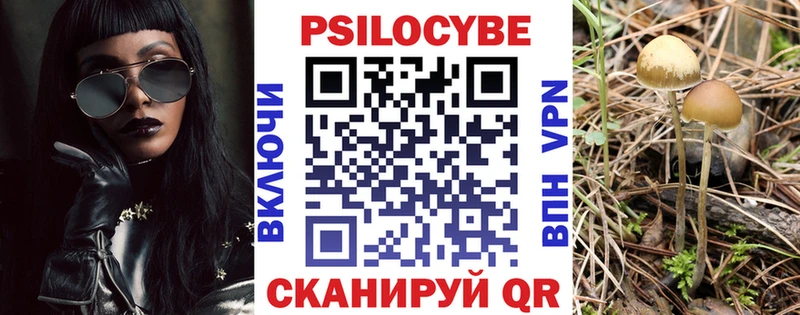 купить  сайты  Красновишерск  Галлюциногенные грибы Magic Shrooms 
